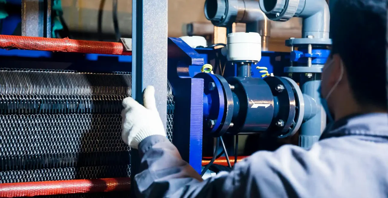 pexels-cang-hai-2894404-4440143